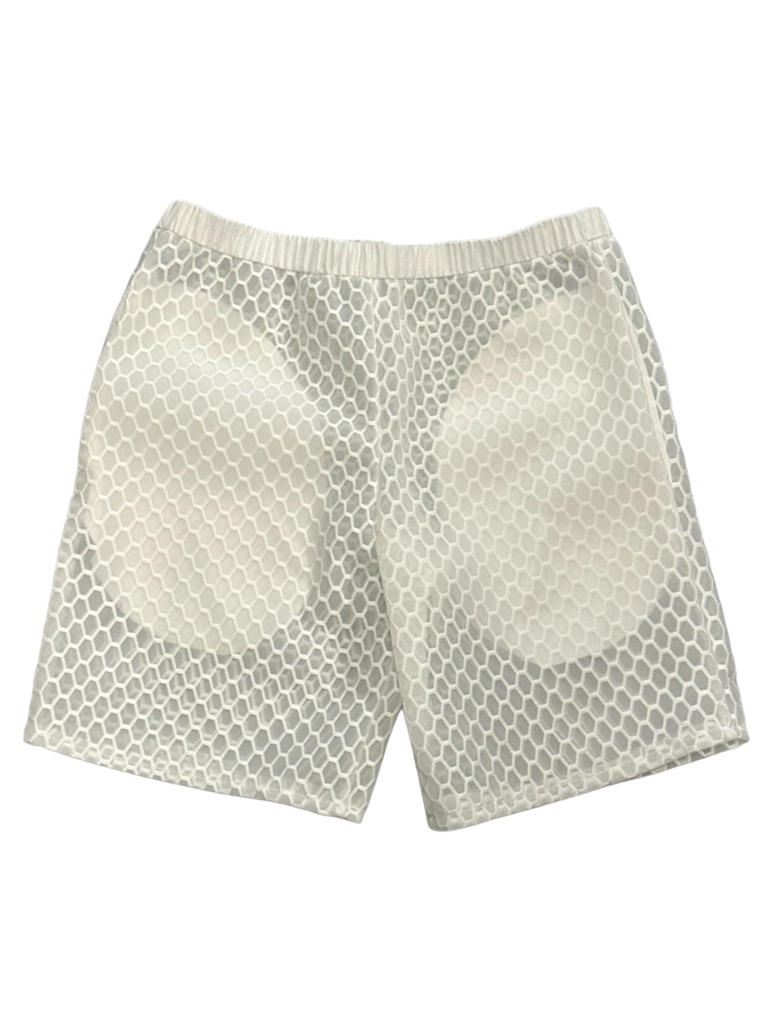 TRANSPARENT SHORTS – L. MILLER